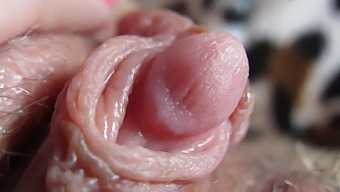 Up-Close And Personal With My Swollen Clit