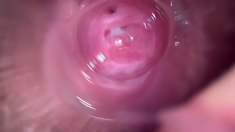 Close-Up View Of Tight Brunette'S Intense Orgasm