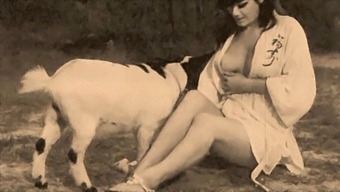 Classic Erotica: Taboo, Pussy, And Pooch In A Vintage Setting
